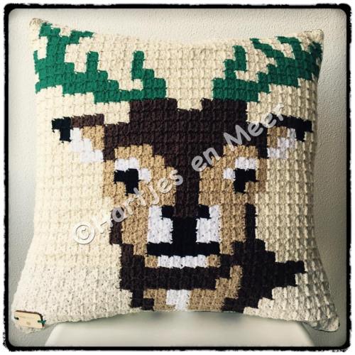 11198584_10206952300430950_173799420_n