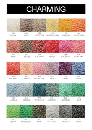yarn-and-colors-kleurkaart-charming